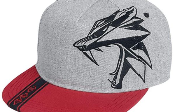 Gorra The Witcher Wolf Way  Snapback